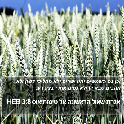 אגרת שאול הראשונה אל טימותיאוס 3:8 HEB Bible Verse Image