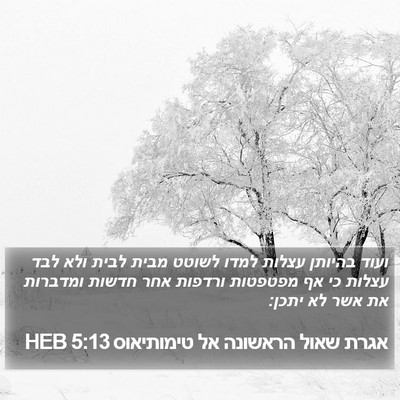 אגרת שאול הראשונה אל טימותיאוס 5:13 HEB Bible Verse Image