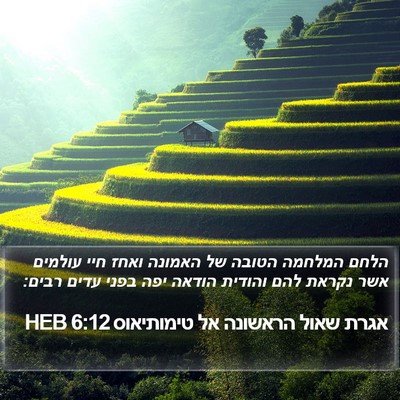 אגרת שאול הראשונה אל טימותיאוס 6:12 HEB Bible Verse Image