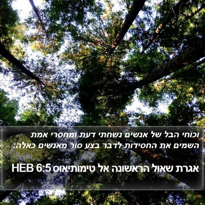 אגרת שאול הראשונה אל טימותיאוס 6:5 HEB Bible Verse Image