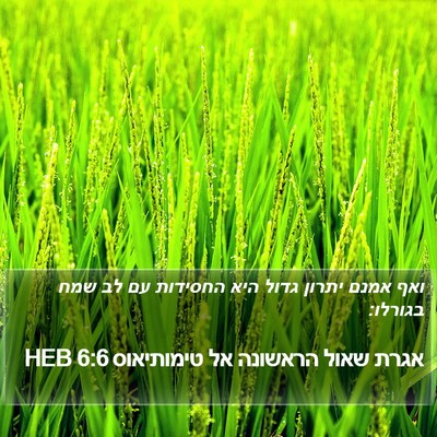 אגרת שאול הראשונה אל טימותיאוס 6:6 HEB Bible Verse Image