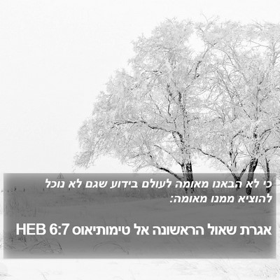 אגרת שאול הראשונה אל טימותיאוס 6:7 HEB Bible Verse Image