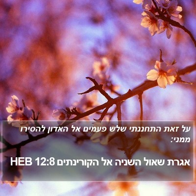 אגרת שאול השניה אל הקורינתים 12:8 HEB Bible Verse Image