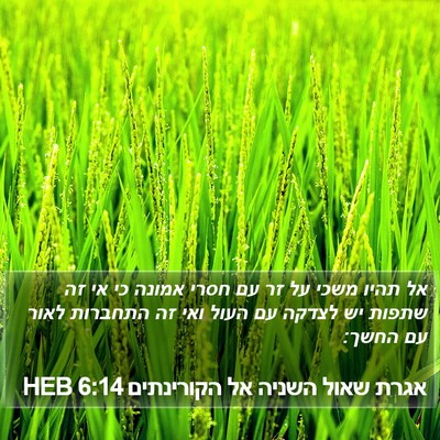 אגרת שאול השניה אל הקורינתים 6:14 HEB Bible Verse Image