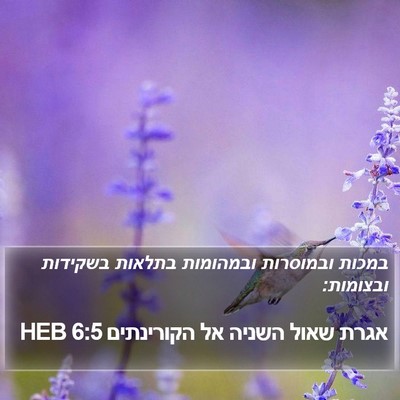אגרת שאול השניה אל הקורינתים 6:5 HEB Bible Verse Image