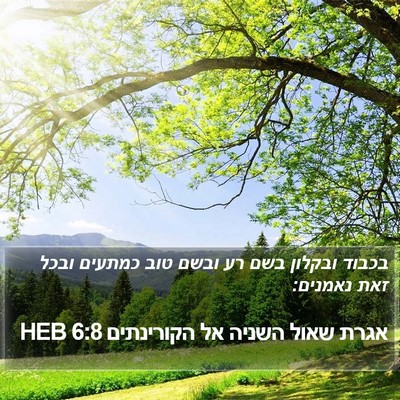 אגרת שאול השניה אל הקורינתים 6:8 HEB Bible Verse Image
