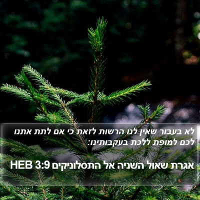 אגרת שאול השניה אל התסלוניקים 3:9 HEB Bible Verse Image