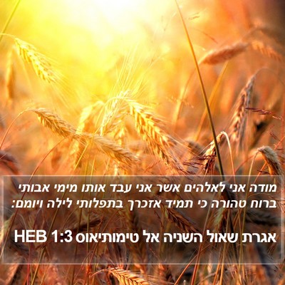 אגרת שאול השניה אל טימותיאוס 1:3 HEB Bible Verse Image