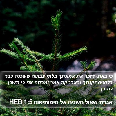 אגרת שאול השניה אל טימותיאוס 1:5 HEB Bible Verse Image