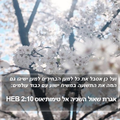 אגרת שאול השניה אל טימותיאוס 2:10 HEB Bible Verse Image