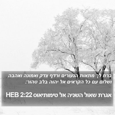 אגרת שאול השניה אל טימותיאוס 2:22 HEB Bible Verse Image