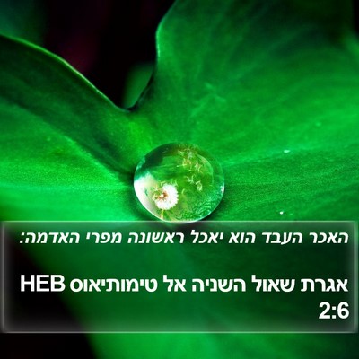 אגרת שאול השניה אל טימותיאוס 2:6 HEB Bible Verse Image