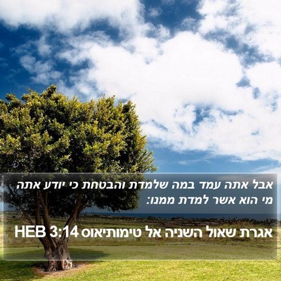 אגרת שאול השניה אל טימותיאוס 3:14 HEB Bible Verse Image