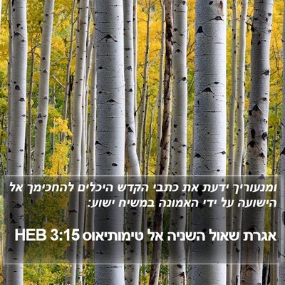 אגרת שאול השניה אל טימותיאוס 3:15 HEB Bible Verse Image
