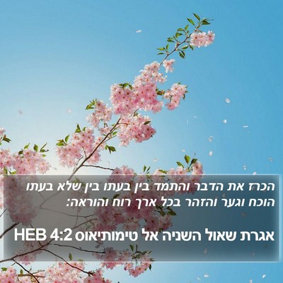 אגרת שאול השניה אל טימותיאוס 4:2 HEB Bible Verse Image
