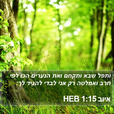 איוב 1:15 HEB Bible Verse Image