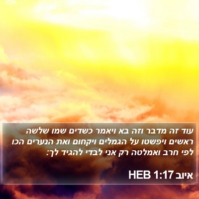 איוב 1:17 HEB Bible Verse Image