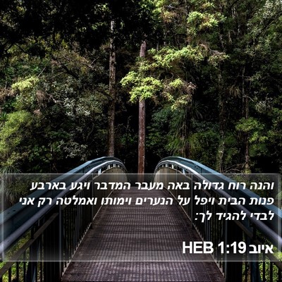 איוב 1:19 HEB Bible Verse Image