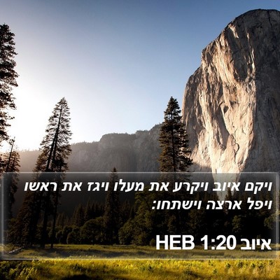איוב 1:20 HEB Bible Verse Image