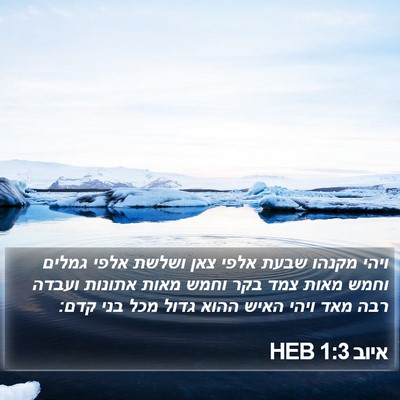 איוב 1:3 HEB Bible Verse Image