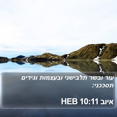 איוב 10:11 HEB Bible Verse Image