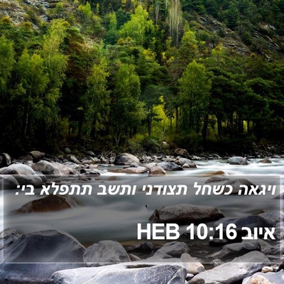 איוב 10:16 HEB Bible Verse Image
