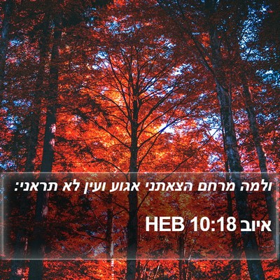 איוב 10:18 HEB Bible Verse Image