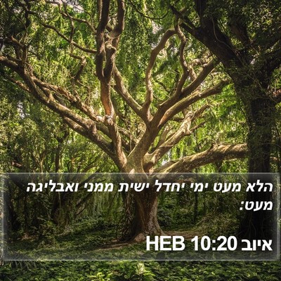 איוב 10:20 HEB Bible Verse Image