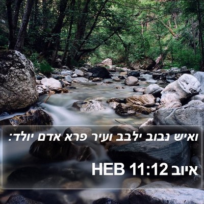 איוב 11:12 HEB Bible Verse Image