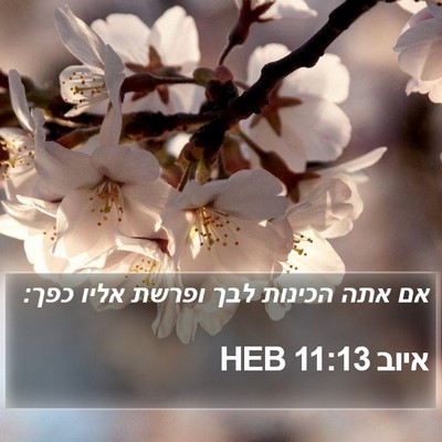 איוב 11:13 HEB Bible Verse Image