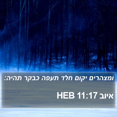 איוב 11:17 HEB Bible Verse Image