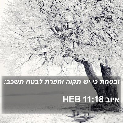 איוב 11:18 HEB Bible Verse Image