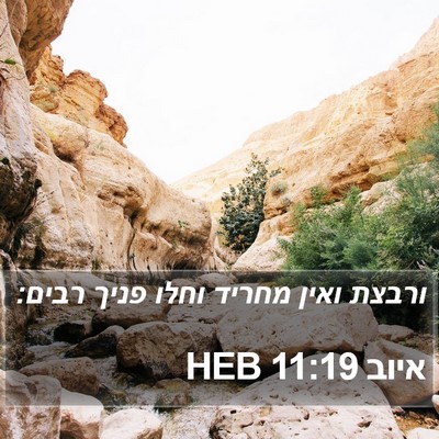 איוב 11:19 HEB Bible Verse Image