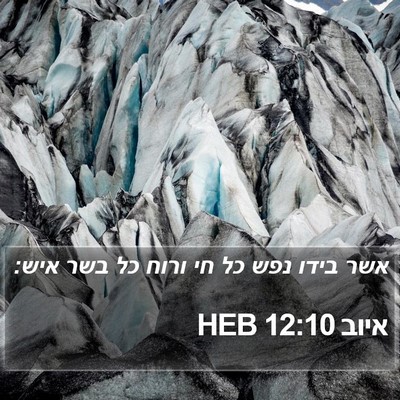 איוב 12:10 HEB Bible Verse Image