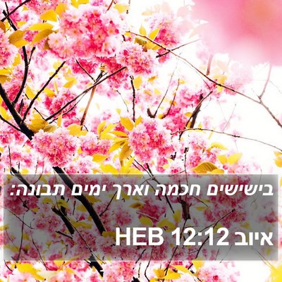 איוב 12:12 HEB Bible Verse Image