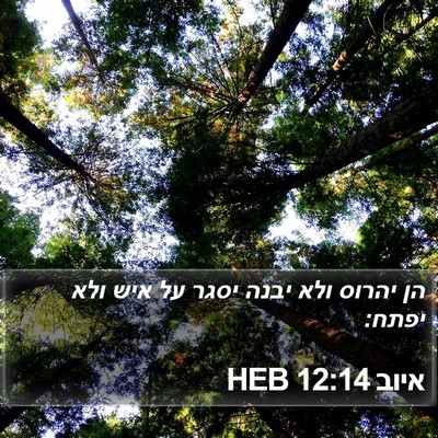 איוב 12:14 HEB Bible Verse Image