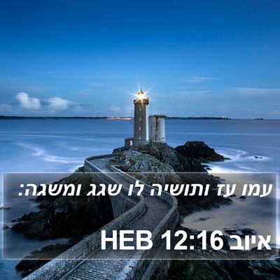 איוב 12:16 HEB Bible Verse Image