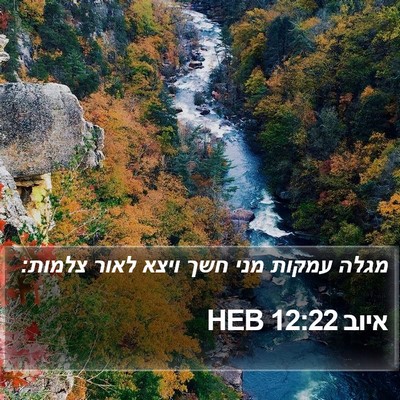 איוב 12:22 HEB Bible Verse Image
