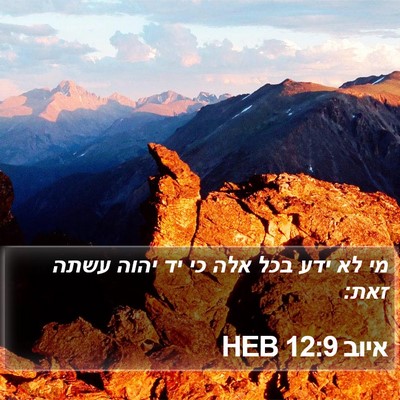איוב 12:9 HEB Bible Verse Image