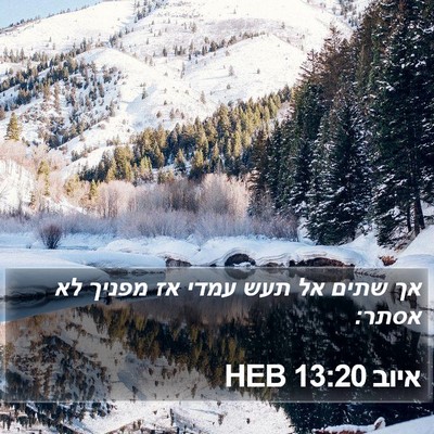איוב 13:20 HEB Bible Verse Image