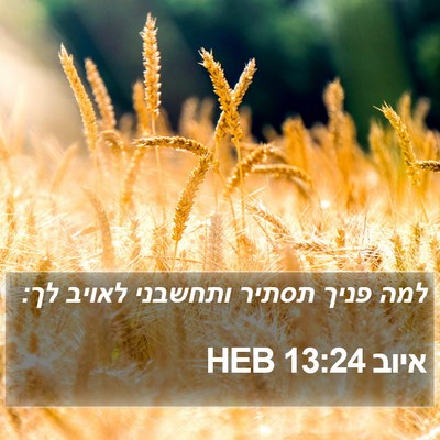 איוב 13:24 HEB Bible Verse Image