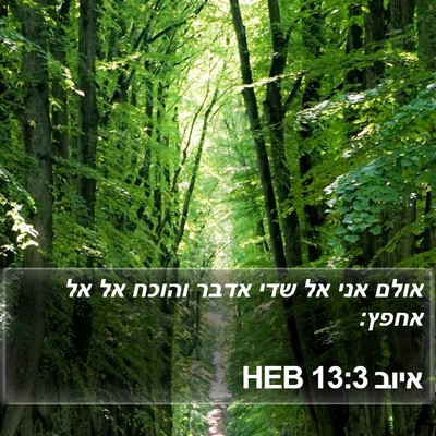 איוב 13:3 HEB Bible Verse Image