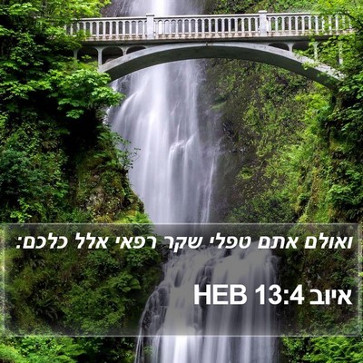 איוב 13:4 HEB Bible Verse Image
