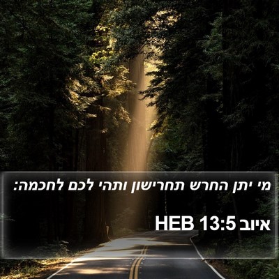 איוב 13:5 HEB Bible Verse Image