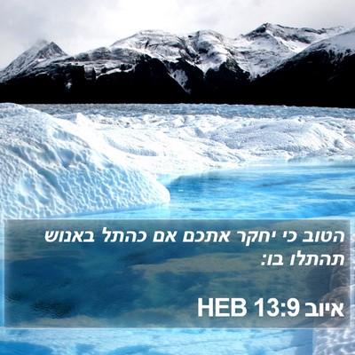 איוב 13:9 HEB Bible Verse Image