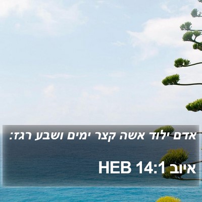 איוב 14:1 HEB Bible Verse Image