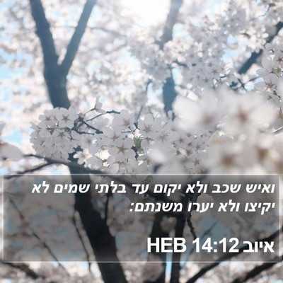 איוב 14:12 HEB Bible Verse Image