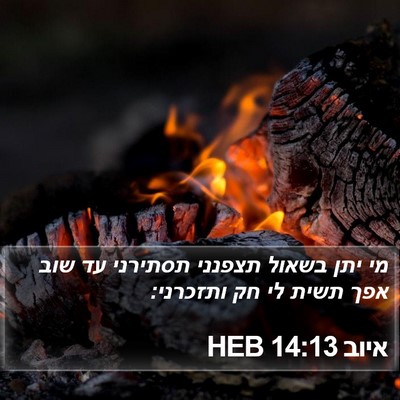 איוב 14:13 HEB Bible Verse Image