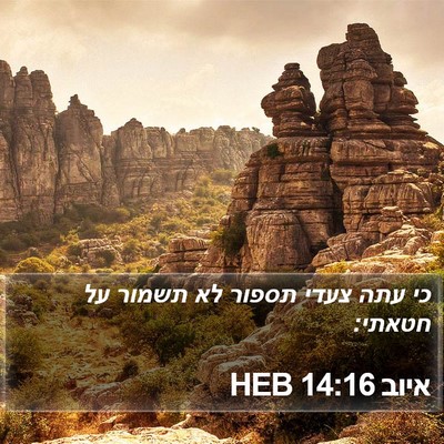 איוב 14:16 HEB Bible Verse Image