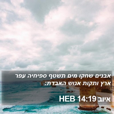 איוב 14:19 HEB Bible Verse Image